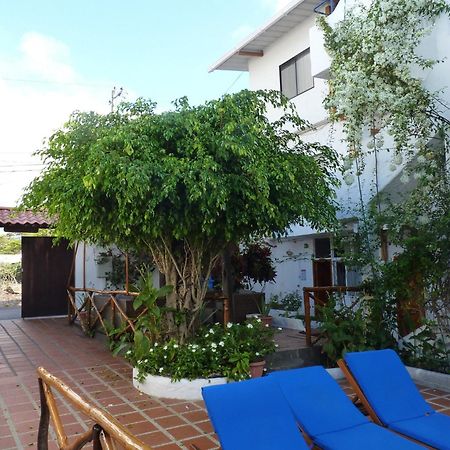 Hotel La Casa De Judy Puerto Ayora  Dış mekan fotoğraf