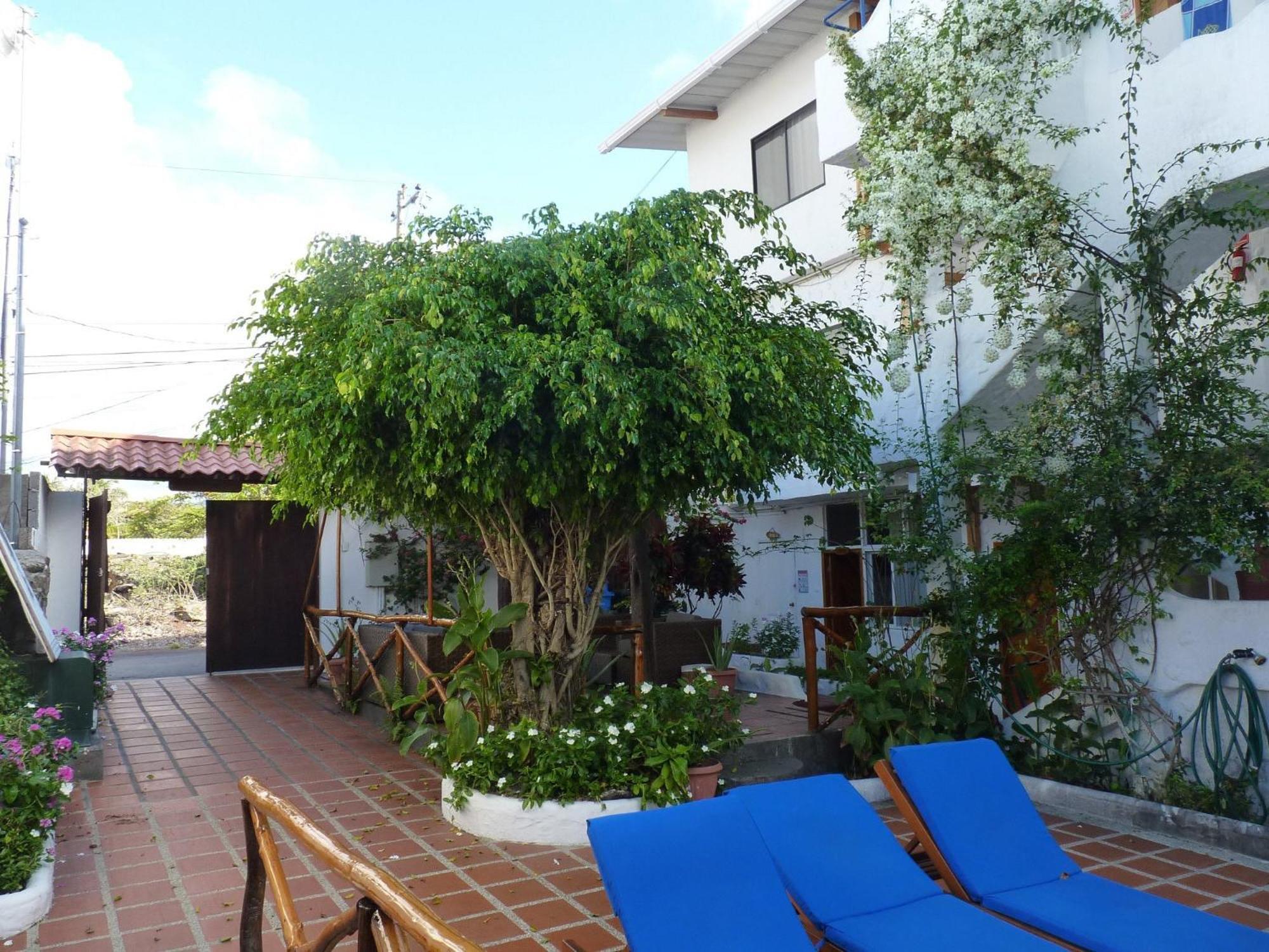 Hotel La Casa De Judy Puerto Ayora  Dış mekan fotoğraf